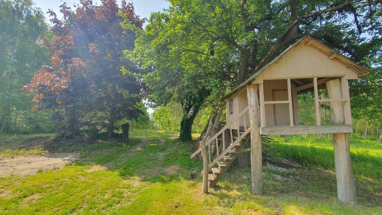 Wierzchowina Relax & Reset *