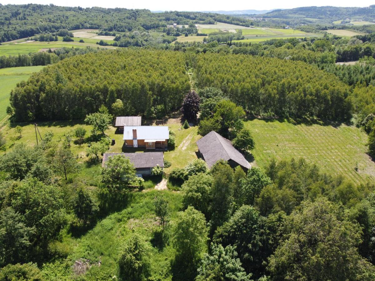 Wierzchowina Relax & Reset *
