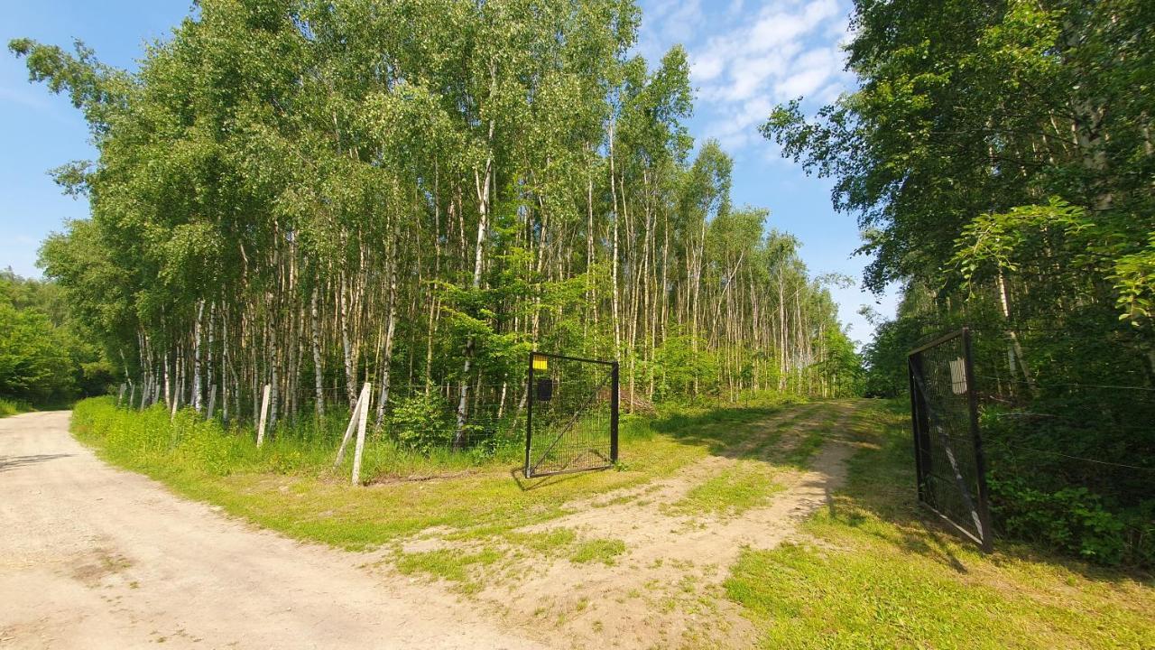 Holiday home Wierzchowina Relax & Reset Leki Dolne