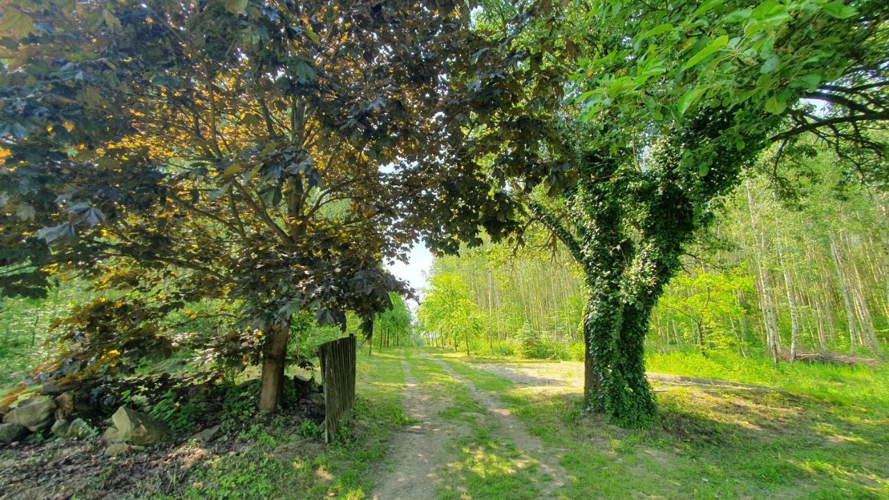 Holiday home Wierzchowina Relax & Reset *