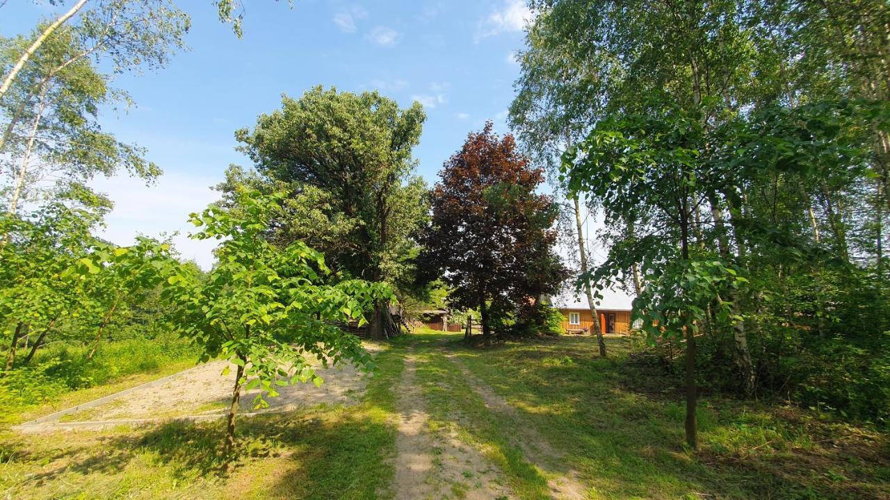 Holiday home Wierzchowina Relax & Reset