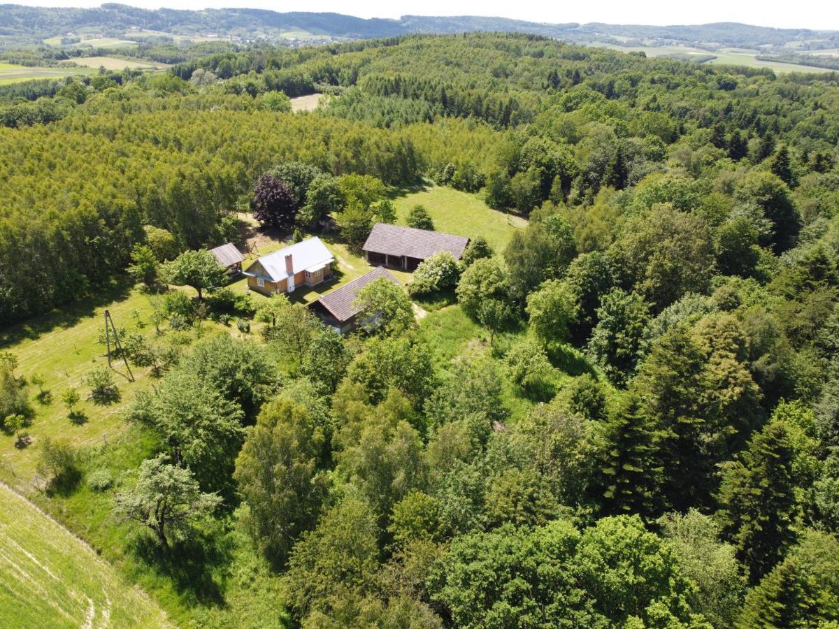 Holiday home Wierzchowina Relax & Reset Leki Dolne
