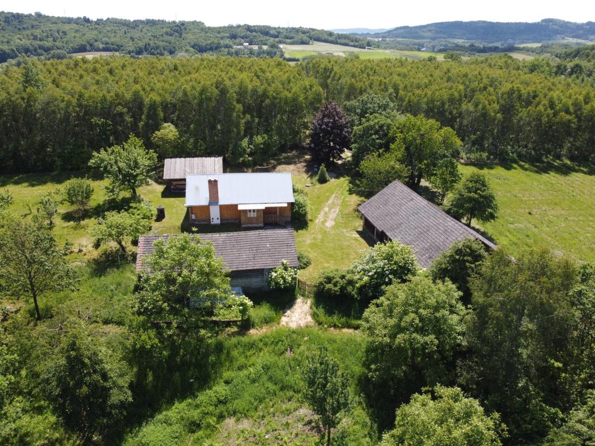 Wierzchowina Relax & Reset Holiday home
